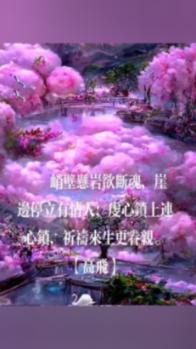 白荆回廊2024主流配队阵容方案